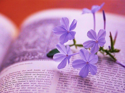 �����ֵ��˸����������˵�����������ȫ