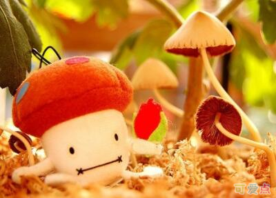 �ɰ������������֣������ֵ�������