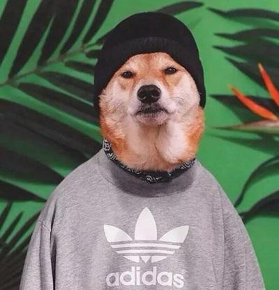 �����ĳ������ָо����˲�����-�ɰ���