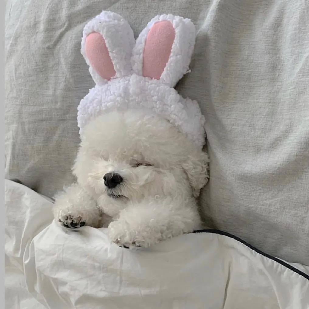 ���ư������һ��ĳ���������������-�ɰ���