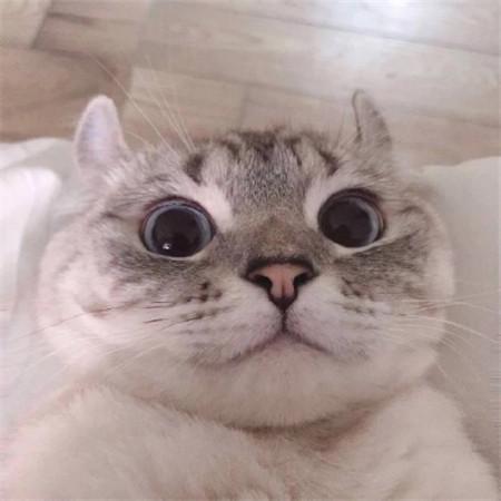 ��һ�޶����ճ���������������-�ɰ���