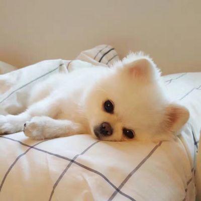 �������ȵĳ��ﱦ������-�ɰ���