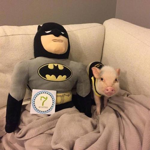 ��Լ�����׵ĳ�����������Сʱ��-�ɰ���