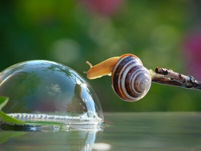 2015����΢�����֣�ī������������