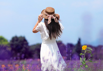 ����ɭϵ����������A�ȩV�ũV