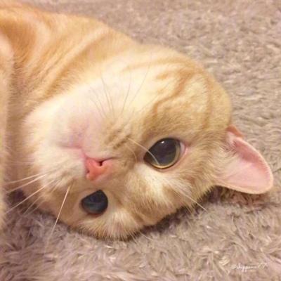 è�������ĳ����������������-�ɰ���