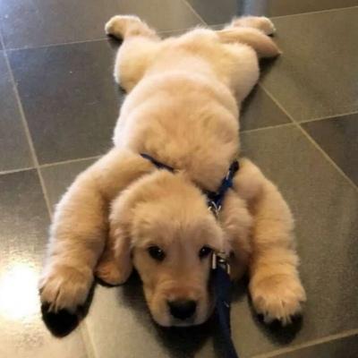 Ц����������Ĭ�������˺ܻ�ϲ-�ɰ���