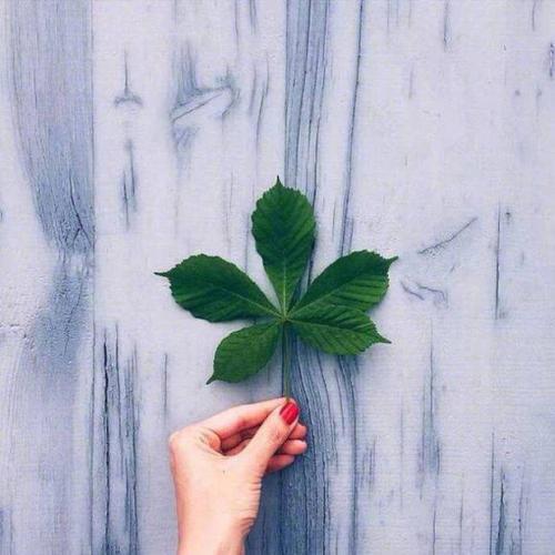 С���µ������ǳ�һ�۾��Ķ�-�ɰ���