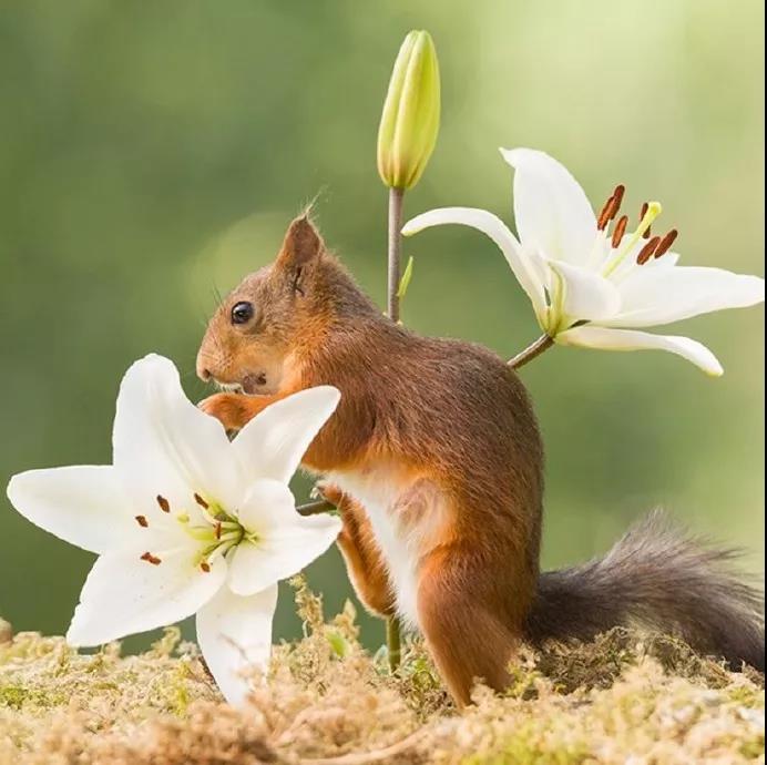 ���������ĳ��������������ɻ���-�ɰ���