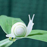 ��Ȥ��Ƥ�ĳ�����ţ�������Ը���-�ɰ���