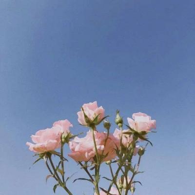 ������־�ķܶ��ǳ�׷������-�ɰ���