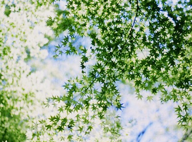 2015����������������ȫ�����O