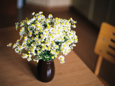 �򵥸��Ե�΢���ǳ�