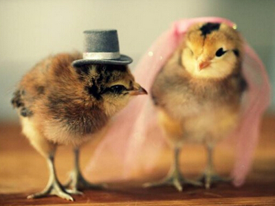 情侣网名独一无二