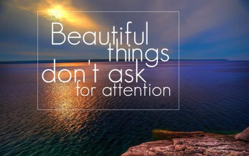 �����ÿ��ֺ����Ĵ�Ӣ��������What do you mean