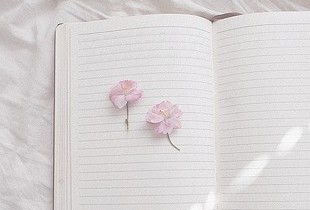 ˧���������������Ƽ���С����С�ġ�����������