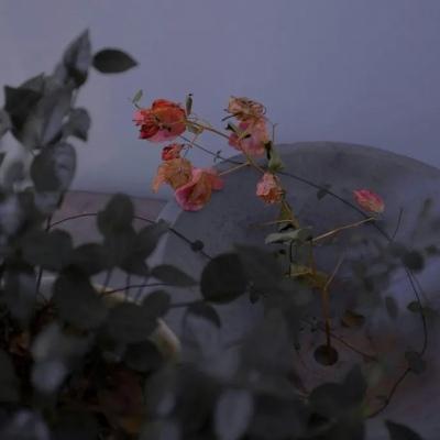 ��������ȵ�΢����֪���׶�������-�ɰ���