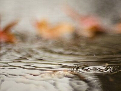 Ψ�����˵��������Ƚϱ��˵�����