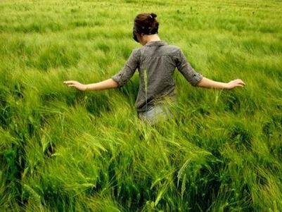 С���°˸�������