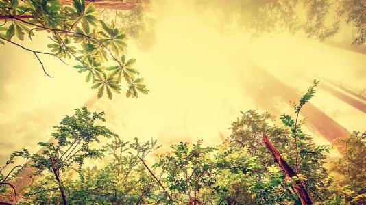 �������������ֵ�û�ζ