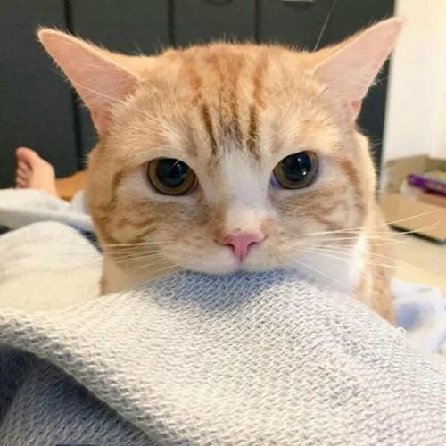 ���ڻ��ļ�����������ּ��Ͽ�-�ɰ���