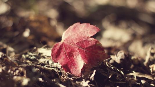 女生简单,简短,好听的名字,暧昧,乱人心