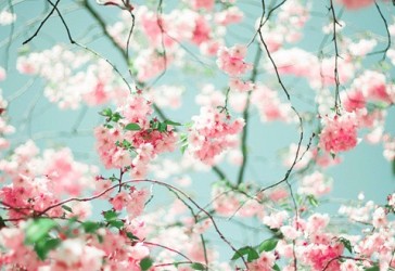 Ψ�������ʵ��������þ�����,���ؾ�ʱ��