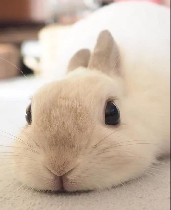 �����籦�ĳ����������ִ�ȫ�ɰ����׶�-�ɰ���