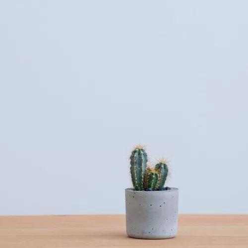 �򵥵�����΢���ǳ���Լ����-�ɰ���