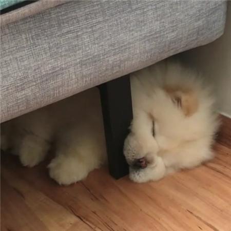 ��Ц��Ĭ�ĳ�����������ô��-�ɰ���