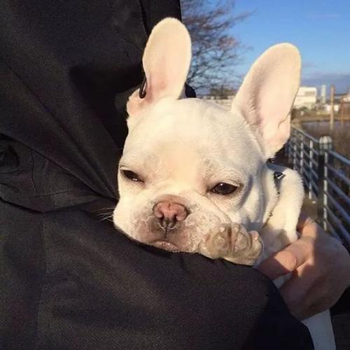 �˶�����Ĺ����������ִ�ȫ����-�ɰ���