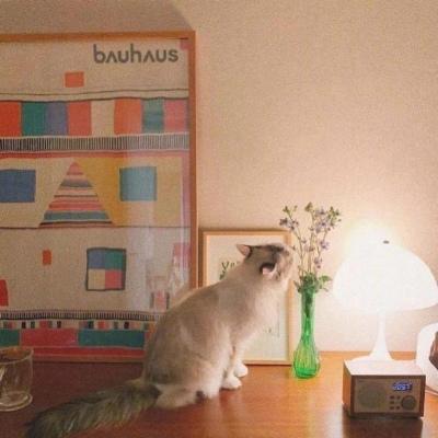 Ψ�������ķ�������������֚g-�ɰ���