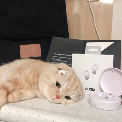 ��������Ķ�������Ϊƽ��������������Ȥ-�ɰ���