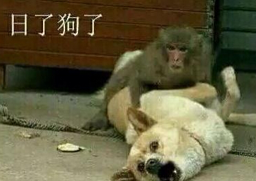 搞笑网名繁体字,搞笑繁体字网名