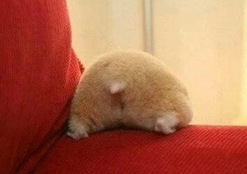 �ر𶺵�QQ�ǳƣ��������������˻�����