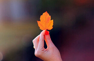 ��ק����Ϸ�������¡���ͻ���һ����