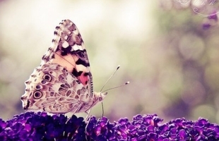 �����ɰ���QQ���֣��Ҹ�������...