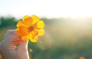 ���ŵ�QQ�ǳƴ�ȫ�������ǳƣ�������Ҳ�ܵ�