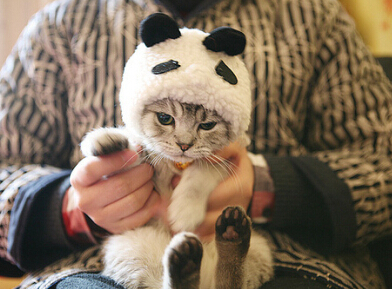 00��ɰ�������ƣ����ܲ���С���ès