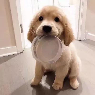 ����Ц���2020�����ǳ�ڶг�ֺ�������