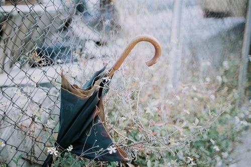 ��ů��־ǩ����̵İ����ഺ����