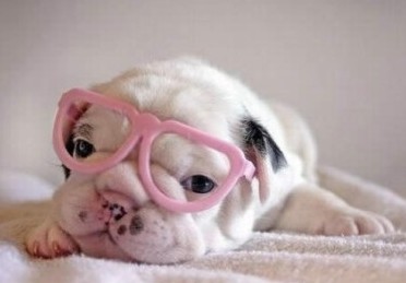 �ֳ��ֺ�����QQ���֣������Ͽ������ǵ��ഺ�f