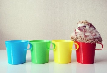 ������Ϸ������������aû�о���