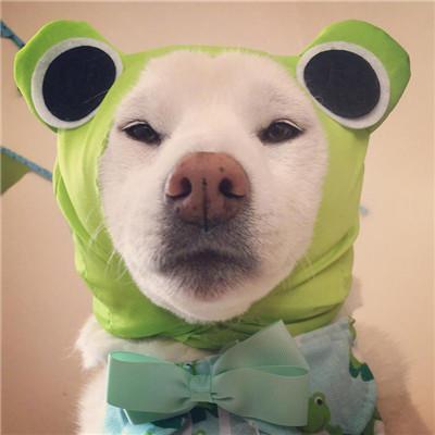 ��Ц���ﶺ�����������ϼ�-�ɰ���