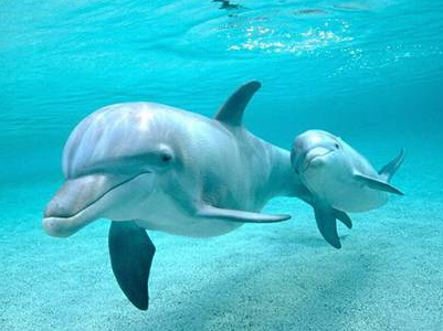 可爱网名大全2015最新版:追着幸福跑