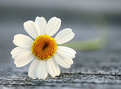 ΢���ĸ����ǳƴ�ȫ