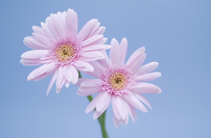 ����ؿ�ζ�����ջ����ĸ�������