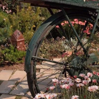 ��־�к����΢���ǳ��ս����������-�ɰ���