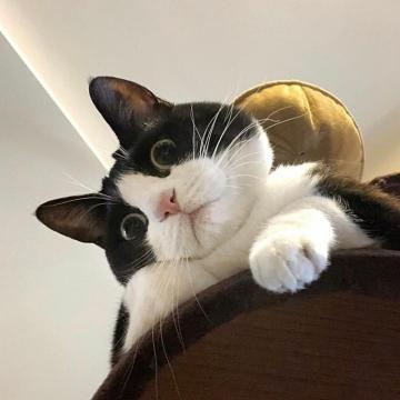 �������ִ�ȫ�����տɰ�������-�ɰ���