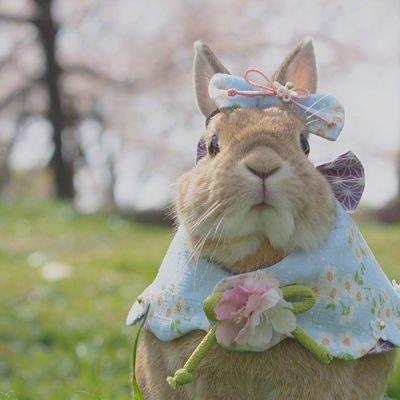 �����ĳ��������ִ�ȫ�Ȼ���-�ɰ���